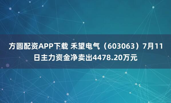 方圆配资APP下载 禾望电气（603063）7月11日主力资金净卖出4478.20万元