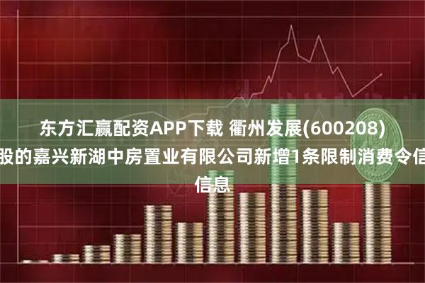 东方汇赢配资APP下载 衢州发展(600208)控股的嘉兴新湖中房置业有限公司新增1条限制消费令信息