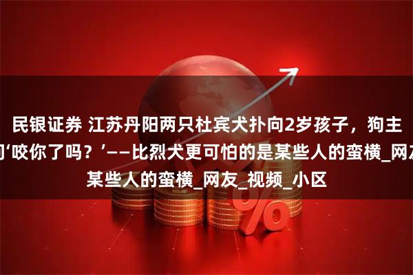 民银证券 江苏丹阳两只杜宾犬扑向2岁孩子，狗主人却嚣张质问‘咬你了吗？’——比烈犬更可怕的是某些人的蛮横_网友_视频_小区
