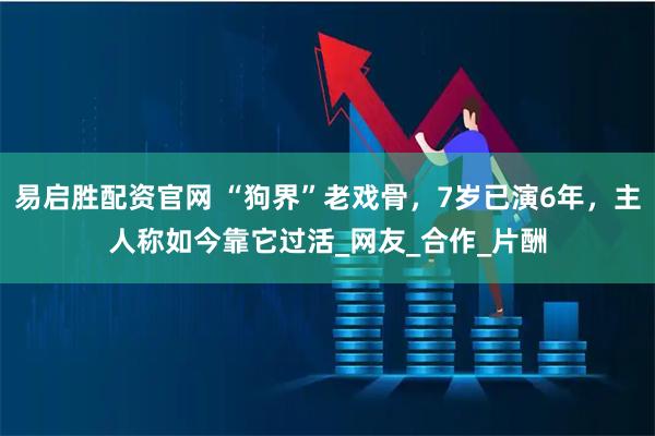 易启胜配资官网 “狗界”老戏骨，7岁已演6年，主人称如今靠它过活_网友_合作_片酬
