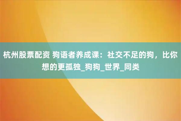 杭州股票配资 狗语者养成课：社交不足的狗，比你想的更孤独_狗狗_世界_同类