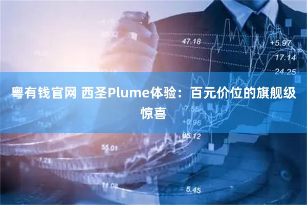 粤有钱官网 西圣Plume体验：百元价位的旗舰级惊喜